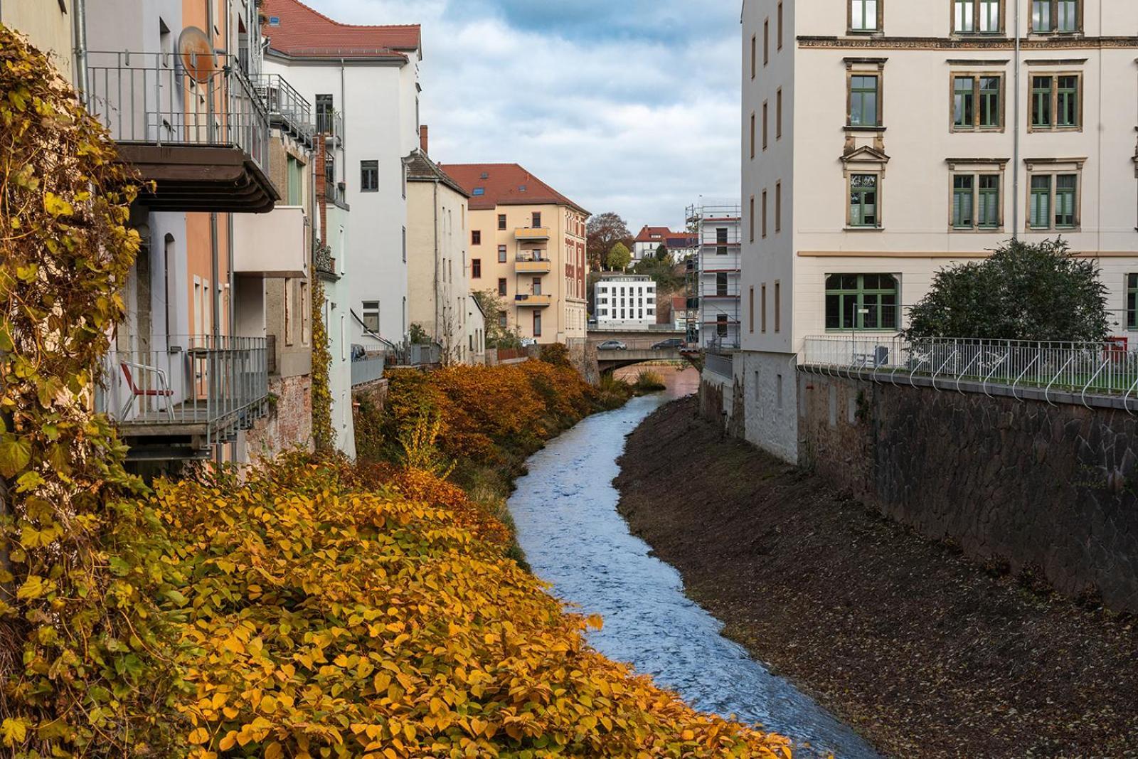 Benville Meissen - Free Parking - Nespresso Kaffee - Stylisch Esterno foto